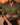 The Evening Signature V Neck Shirt Burnt Olive
